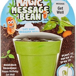 Fasole magica, in ghiveci, cu mesaje diverse (Get well, Good Luck, Love you)