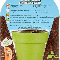 Fasole magica, in ghiveci, cu mesaje diverse (Get well, Good Luck, Love you)